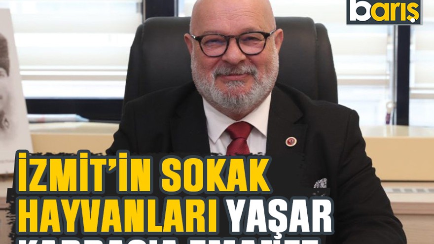 İzmit’in sokak hayvanları Yaşar Kardaş’a emanet
