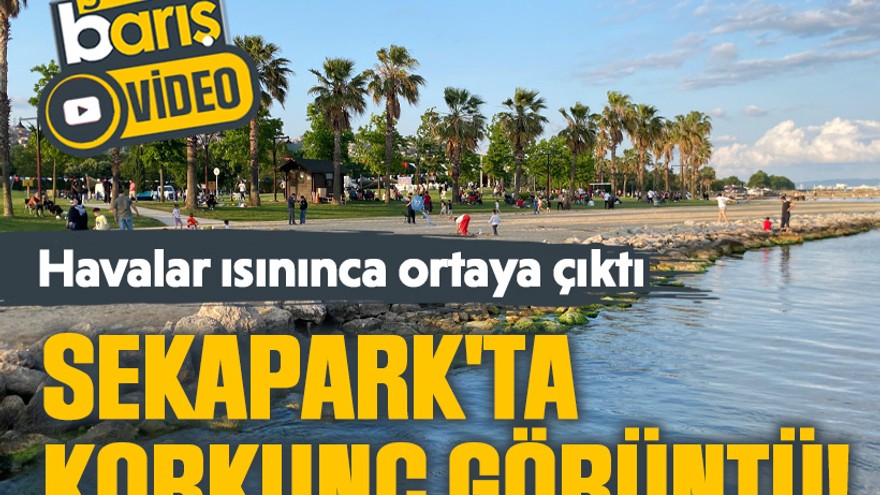 Sekapark'ta korkunç görüntü! Havalar ısınınca ortaya çıktı