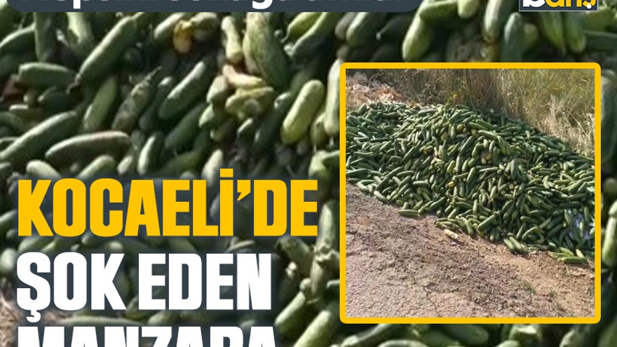 Hepsini sokağa attılar: Kocaeli’de şok eden manzara