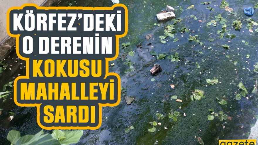 Körfez’deki o derenin kokusu mahalleyi sardı