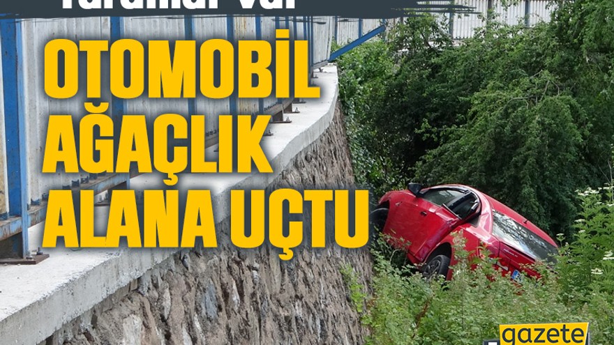Kocaeli’de otomobil istinat duvarından ağaçlık alana uçtu: Yaralılar var