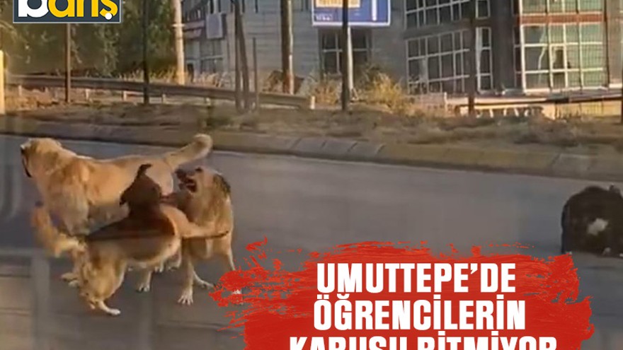 KOÜ Umuttepe’de öğrencilerin kabusu bitmiyor