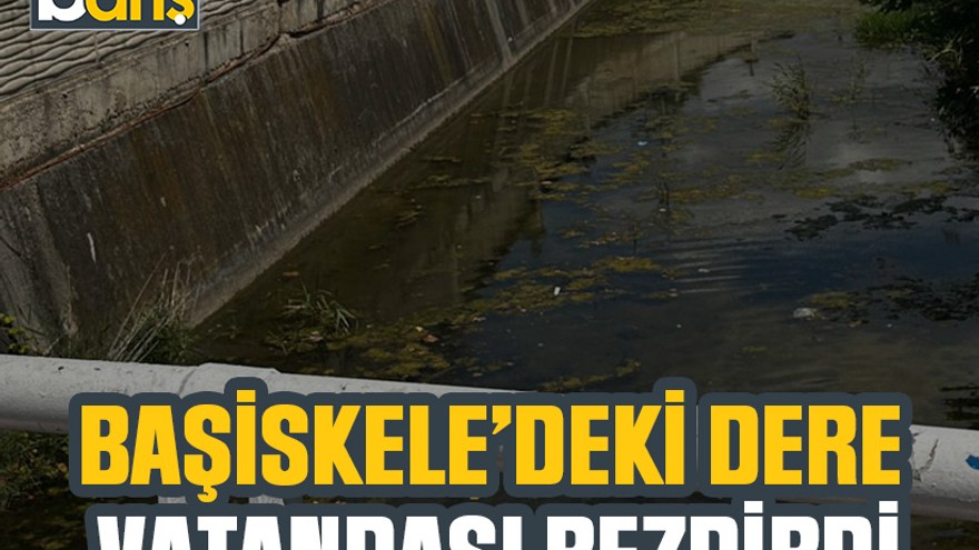 Başiskele’deki dere vatandaşı bezdirdi