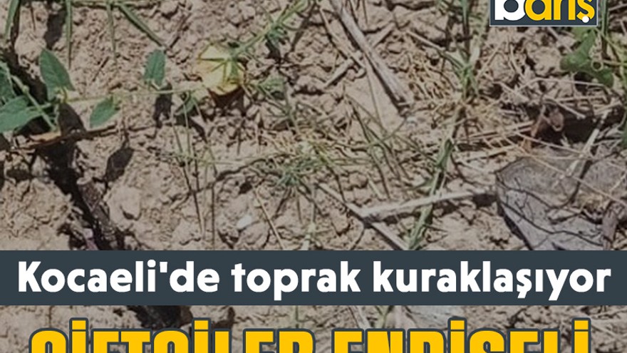 Çiftçiler endişeli. Kocaeli'de toprak kuraklaşıyor