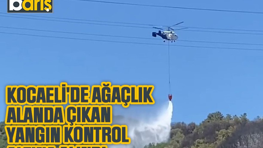 Kocaeli'de ağaçlık alanda çıkan yangın kontrol altına alındı
