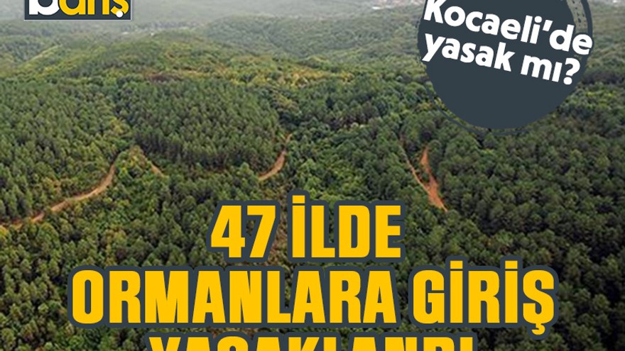 47 ilde ormanlara giriş yasak. Kocaeli'de yasak mı?
