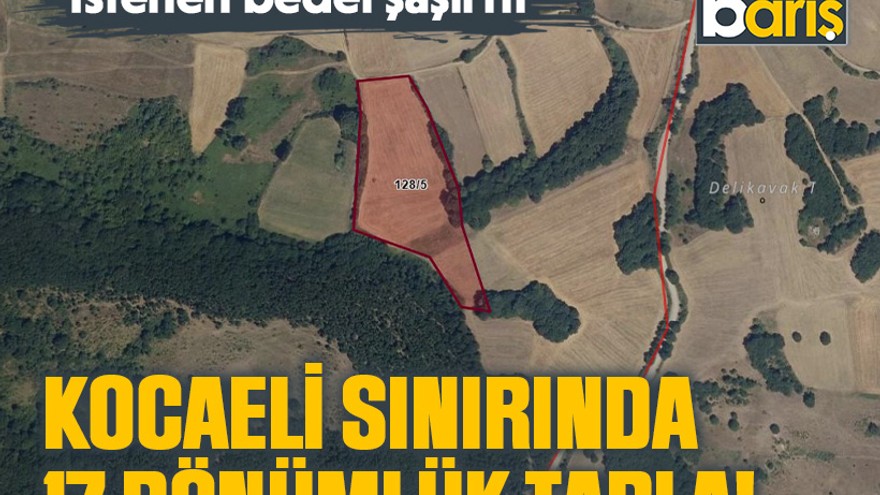 İstenen bedel şaşırttı. Kocaeli sınırında 17 dönümlük tarla!