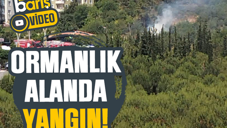 Gebze’de ormanlık alanda yangın!