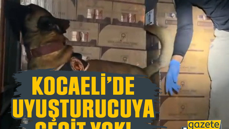 Kocaeli’de durdurulan araçta 9 kilo kokain ele geçirildi