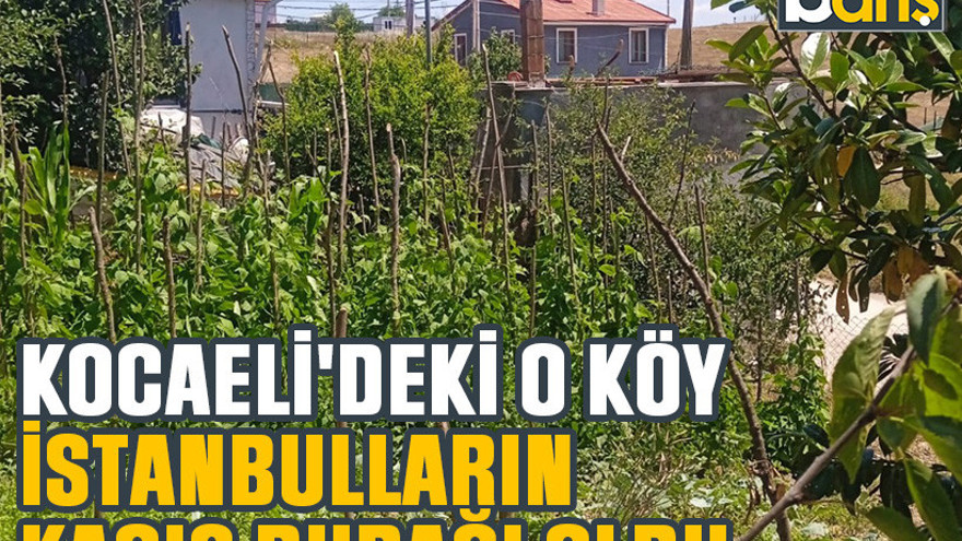 Kocaeli'deki o köy İstanbulluların kaçış durağı oldu