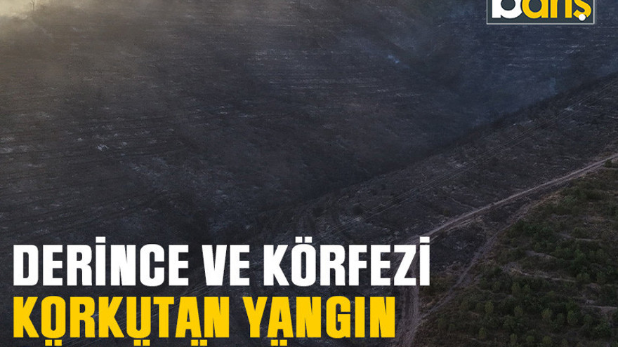 Derince ve Körfez’i korkutan yangın söndürüldü