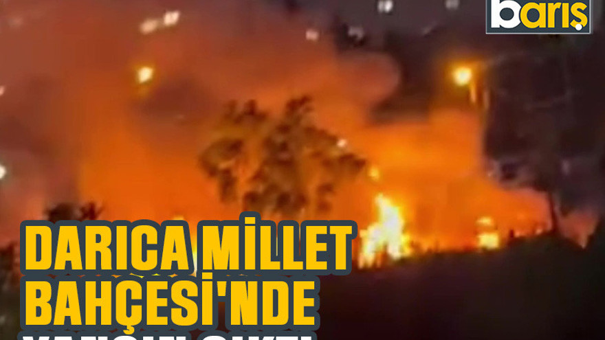 Darıca Millet Bahçesi'nde yangın çıktı