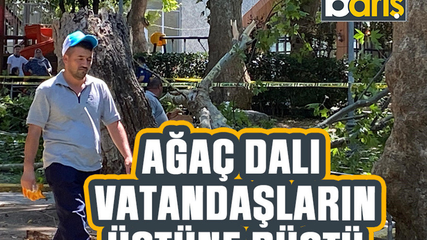 Ağaç dalı vatandaşların üstüne düştü