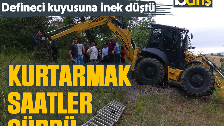 Defineci kuyusuna inek düştü: Kurtarmak saatler sürdü