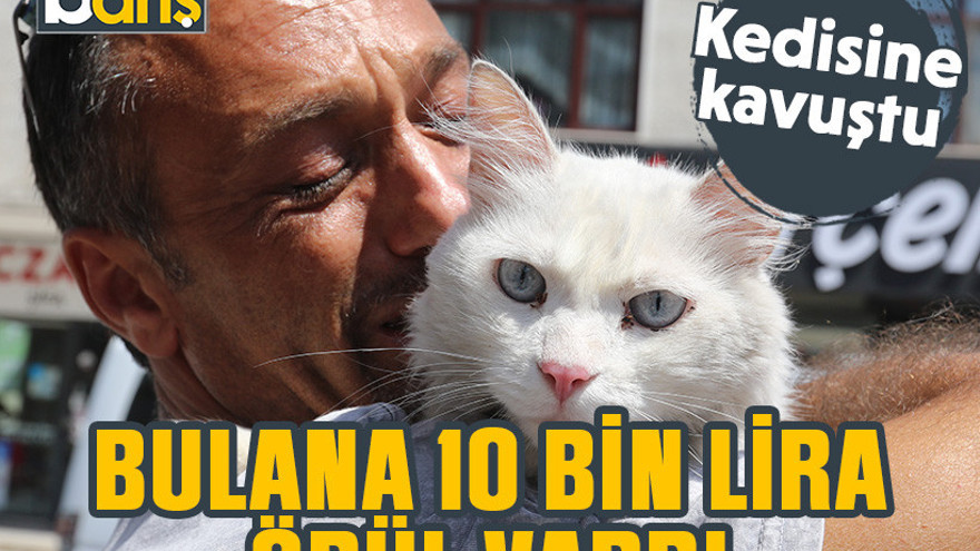 Bulana 10 bin lira ödül vardı. Kedisine kavuştu