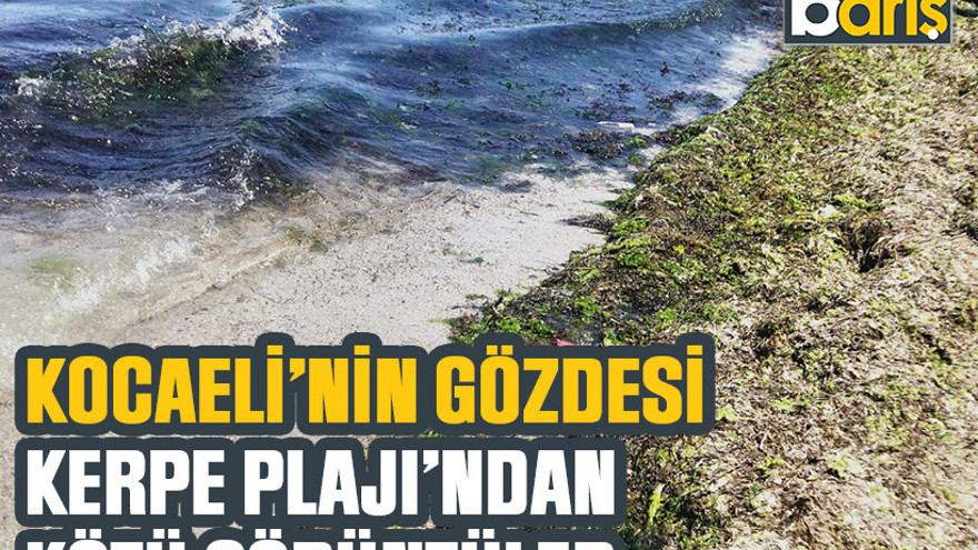 Kocaeli’nin gözdesi Kerpe Plajı’ndan kötü görüntüler