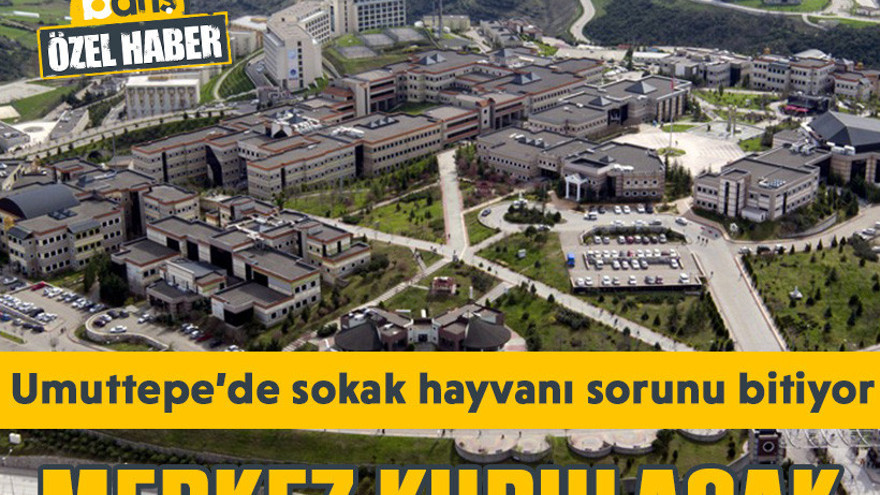 Umuttepe’de sokak hayvanı sorunu bitiyor. Merkez kurulacak