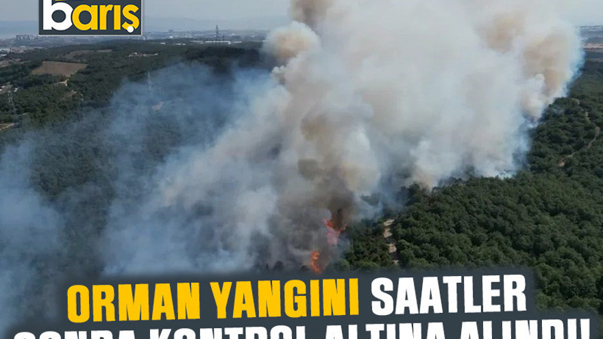 Kocaeli’deki orman yangını saatler sonra kontrol altına alındı!