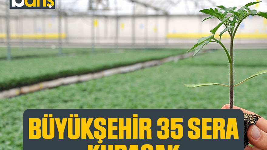 Büyükşehir 35 sera kuracak!