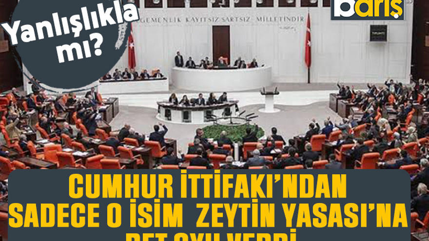 Cumhur İttifakı’ndan sadece o isim Zeytin Yasası’na ret oyu verdi