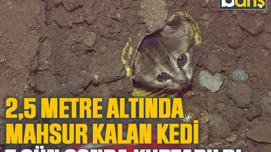 2,5 metre altında mahsur kalan kedi 7 gün sonra kurtarıldı