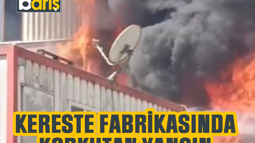 Kereste fabrikasında yangın paniği