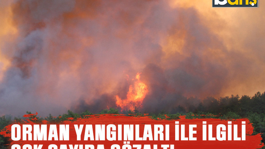 Orman yangınları ile ilgili çok sayıda gözaltı