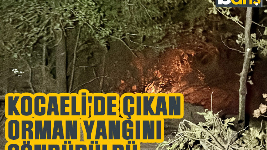 Kocaeli'de çıkan orman yangını söndürüldü