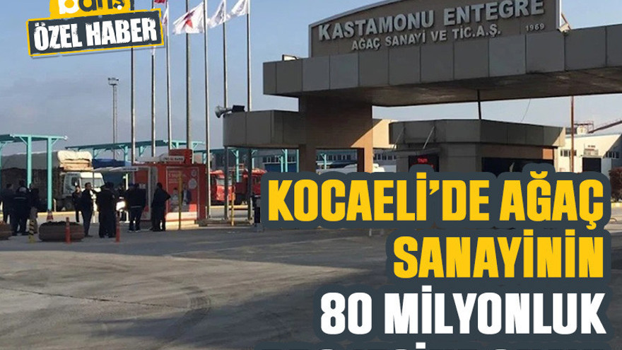 Kocaeli’de ağaç sanayinin 80 milyonluk projesine onay!