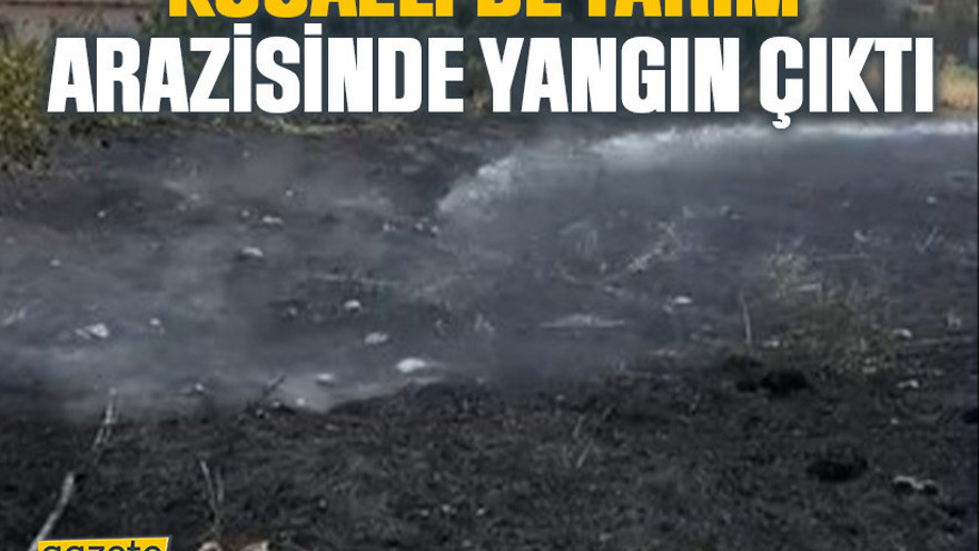 Kocaeli'de tarım arazisinde yangın çıktı
