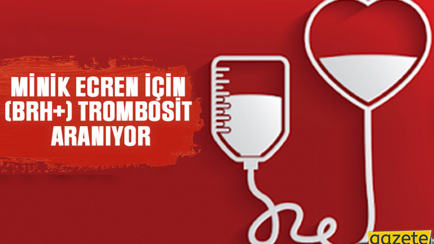 Minik Ecren için (BRH+) trombosit aranıyor
