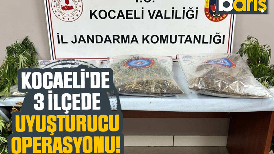 Kocaeli'de 3 ilçede uyuşturucu operasyonu!
