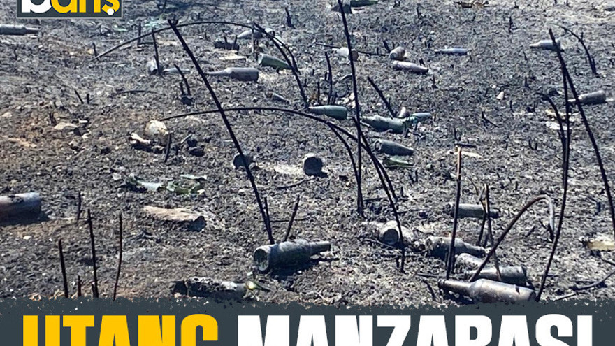 Kocaeli’deki yangının ardından utanç manzarası