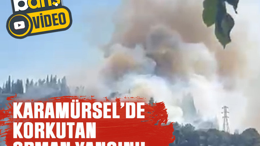 Karamürsel’de korkutan orman yangını