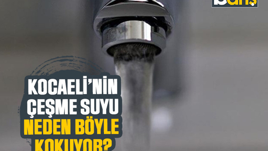 Kocaeli'de çeşme suları neden böyle kokuyor?