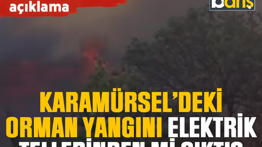 Karamürsel’deki orman yangını elektrik tellerinden mi çıktı?