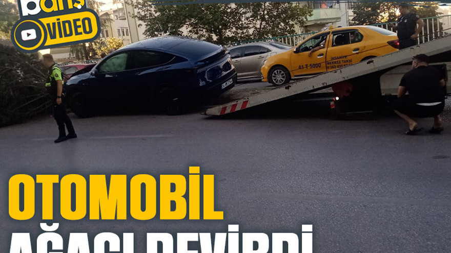 Kocaeli Devlet Hastanesi yanında kaza: Otomobil ağacı devirdi