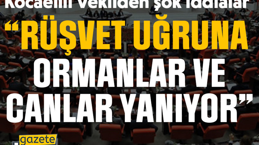 Kocaelili Vekilden şok iddialar “Rüşvet uğruna ormanlar ve canlar yanıyor”