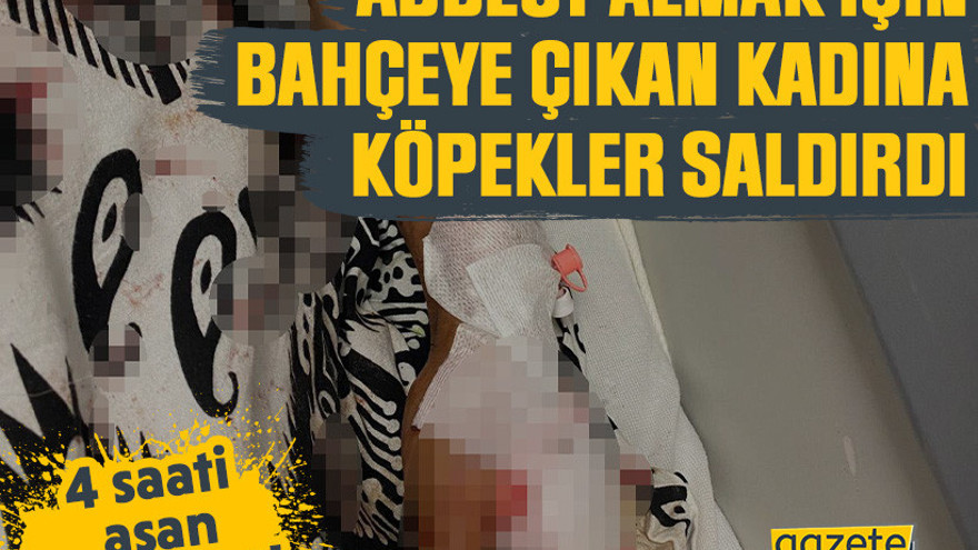 Kocaeli'de abdest almak için bahçeye çıkan kadına köpekler saldırdı