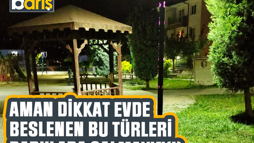 Aman dikkat evde beslenen bu türleri parklara salmayın(!)