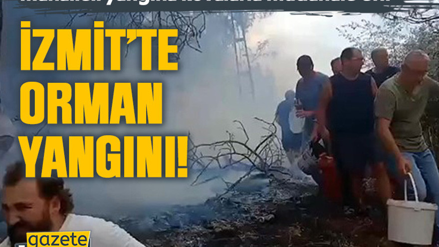 İzmit’te orman yangını!