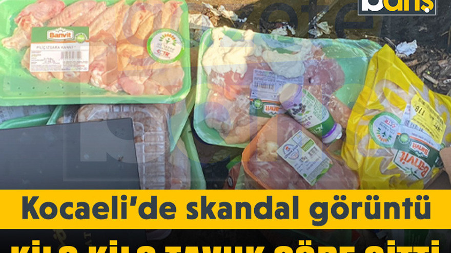 Kocaeli’de skandal görüntü: Kilo kilo tavuk çöpe gitti