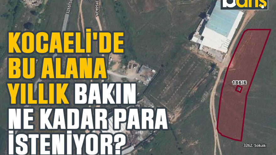 Kocaeli'de bu alana yıllık bakın ne kadar para isteniyor?