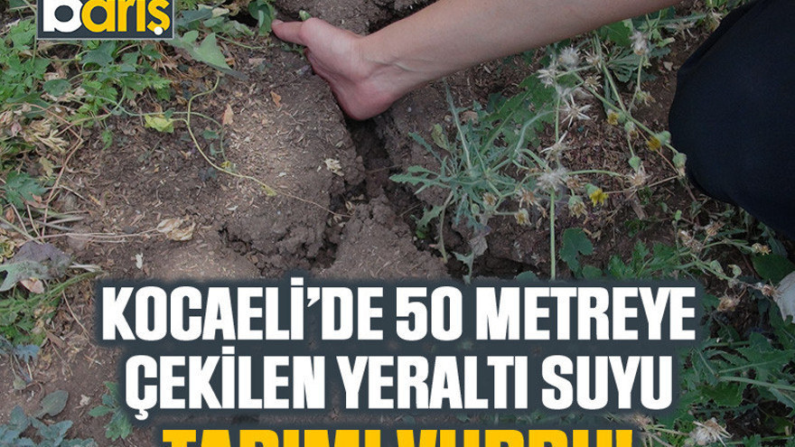 Kocaeli’de 50 metreye çekilen yeraltı suyu, tarımı vurdu!