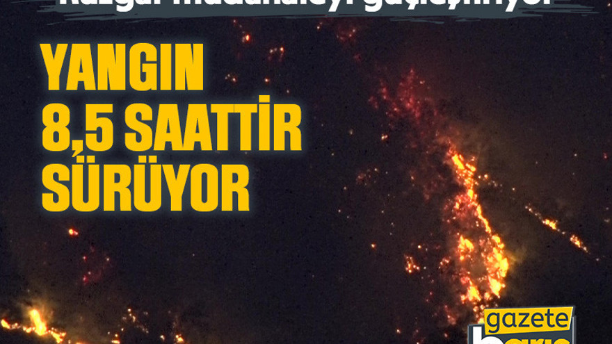 Yangın 8,5 saattir sürüyor: Rüzgar müdahaleyi güçleştiriyor