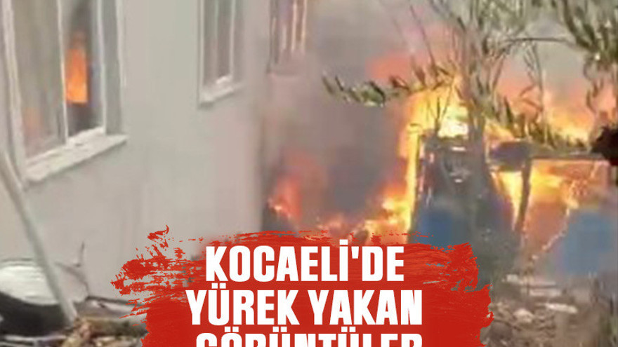 Kocaeli'de yürek yakan görüntüler