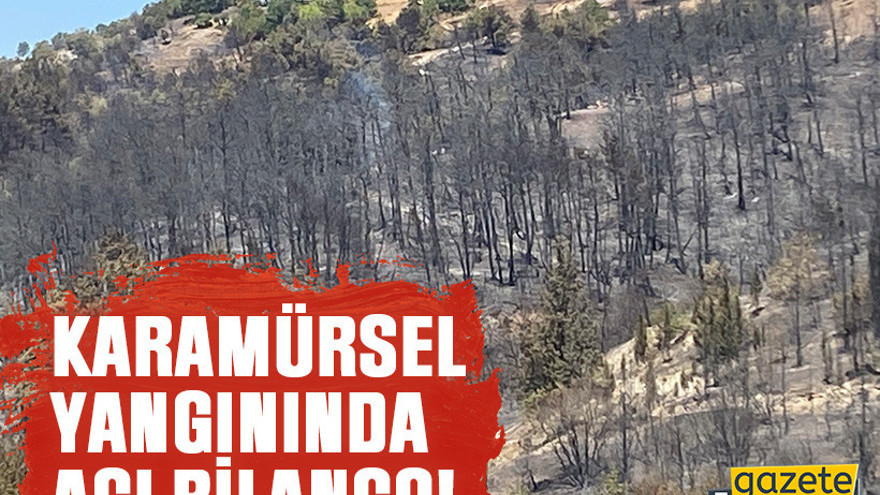 Karamürsel yangınında acı bilanço!