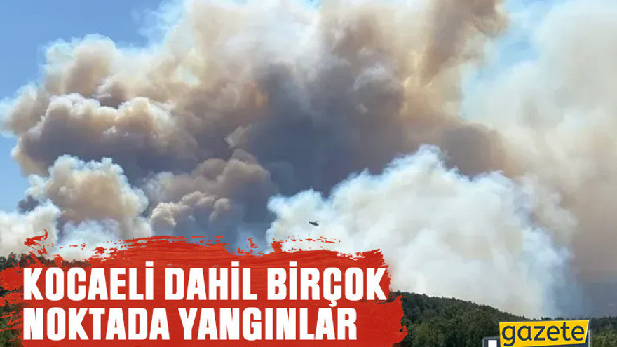 Kocaeli dahil birçok noktada yangınlar kontrol altına alındı