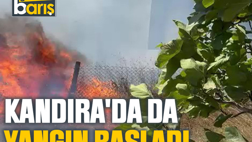 Kandıra'da da yangın başladı