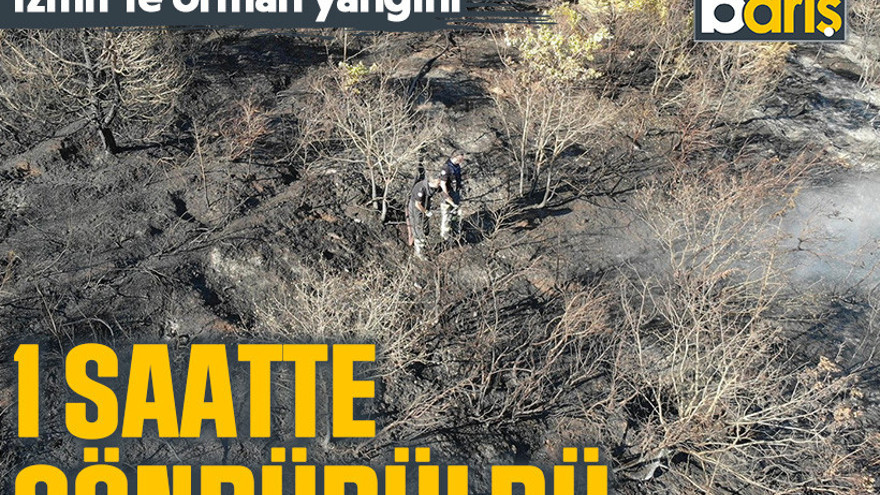 İzmit'te orman yangını! 1 saatte söndürüldü